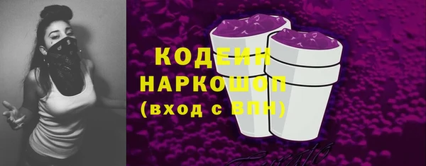 таблы Бородино