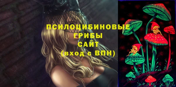 таблы Бородино