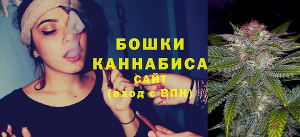 стафф Богданович