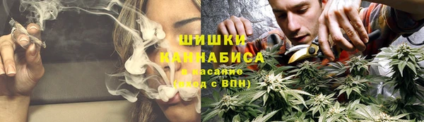 стафф Богданович