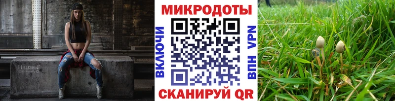 Галлюциногенные грибы Magic Shrooms  где купить наркоту  Волосово 